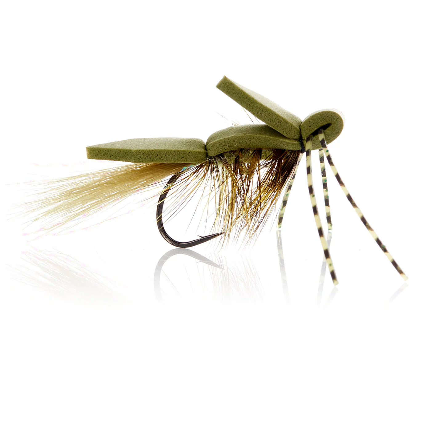 Skumflue Olive Kystflue