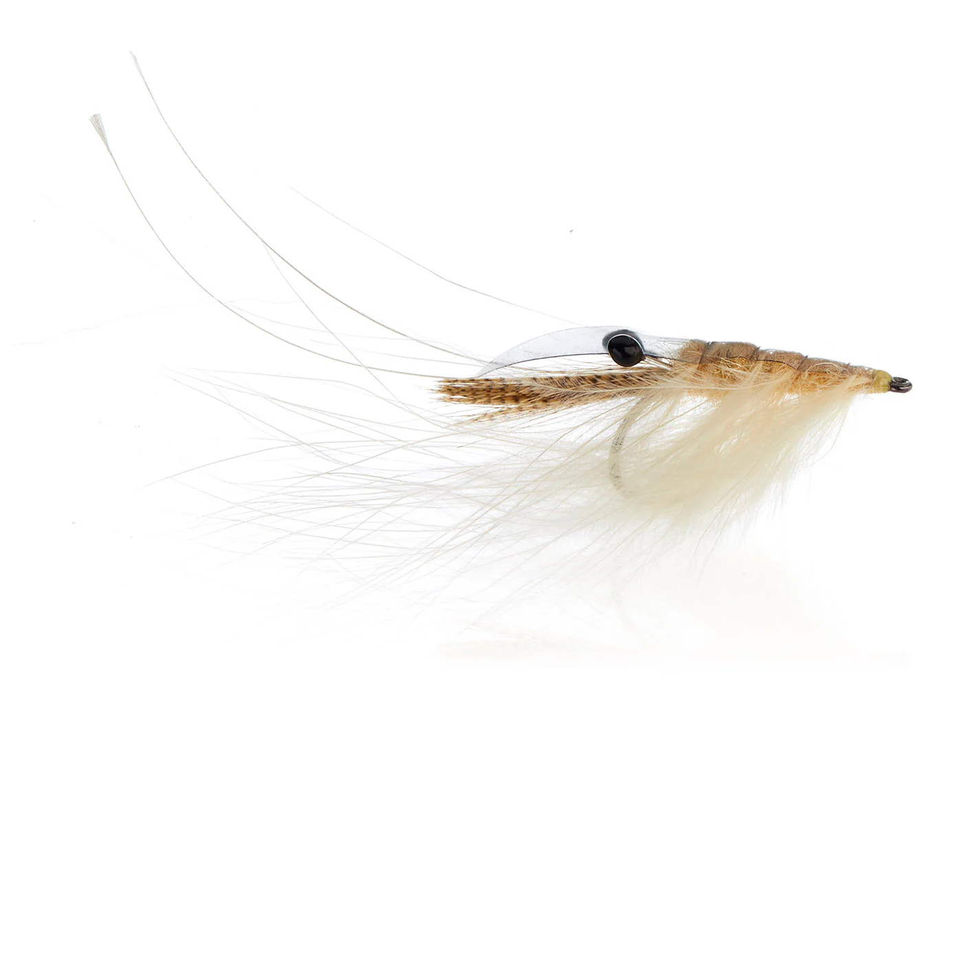 Crangon Shrimp Cream Kystflue