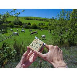 Baladeo Pocket Knife Terroir