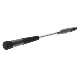 Daiwa Morethan AGS Spinnestang