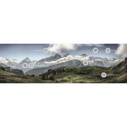 Hanwag Alta Bunion II GTX Dame