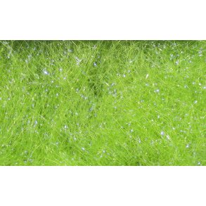 Hareline Ice Dub UV L.t. Olive