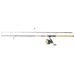 Daiwa Crossfire LT Gold Rush Fiskes�t