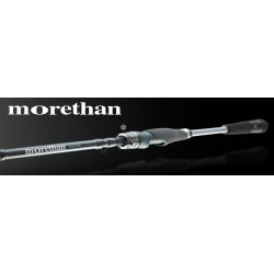 Daiwa Morethan AGS Spinnestang
