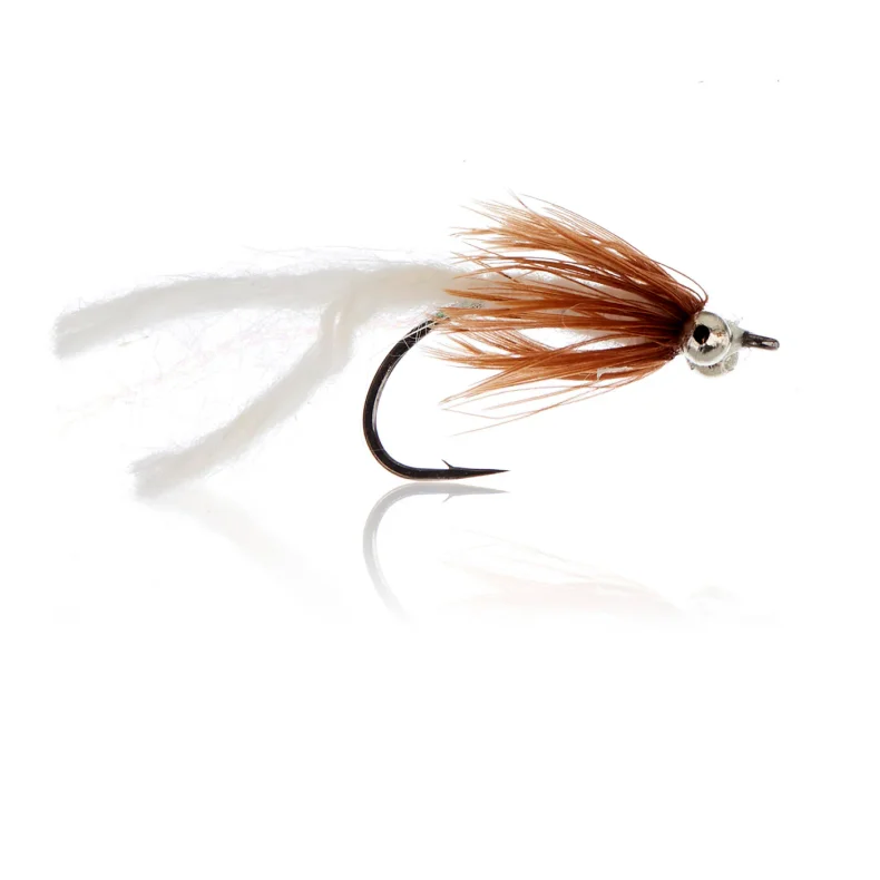 Hindsholm  Kystflue
