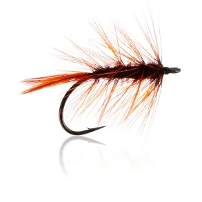 Rusty Magnus  Kystflue