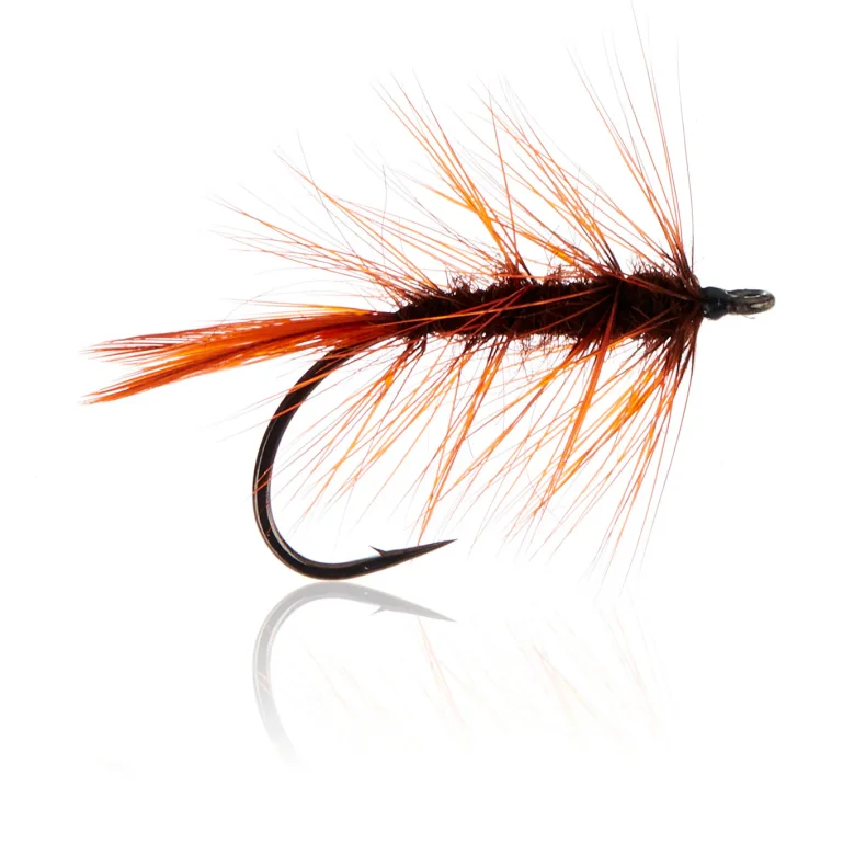 Rusty Magnus  Kystflue