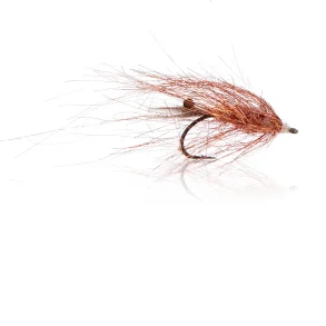 Copper Shrimp  Kystflue