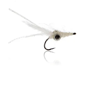 Sprutten Hvid Fluen  Kystflue