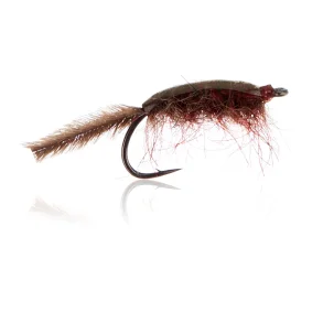 Gammariden - Brown  Kystflue