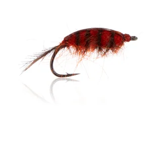 Gammariden - Orange  Kystflue