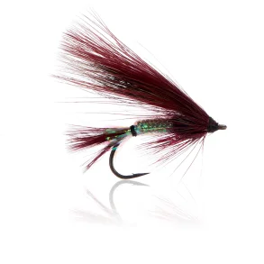 P.K. Flash No. 9   Kystflue