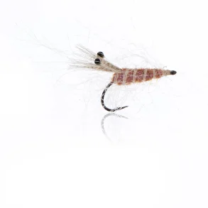 Panic Shrimp - Tan  Kystflue