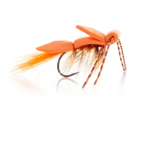 Skumflue - Orange  Kystflue