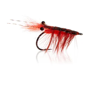 Polarrejen - Fire Orange  Kystflue