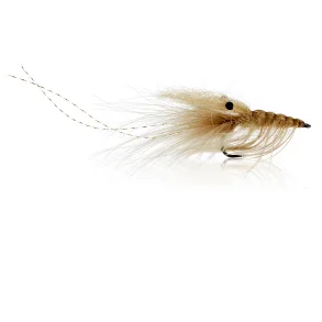 Pattegrisen -  tan  Kystflue