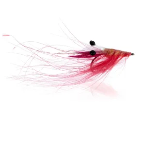 Crangon Shrimp - shrimp pink  Kystflue