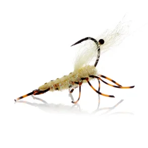 Honey Schrimp Chartreuse Leg  Kystflue