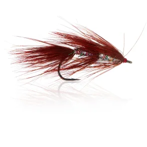 Brendas Mor Kystflue