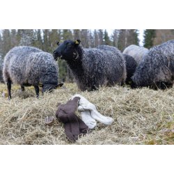 Ivanhoe NLS Rag Uldsokker