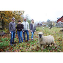 Ivanhoe NLS Sap Full Zip Herre