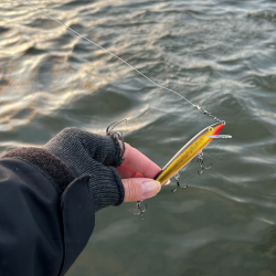 Rapala 90 Years Floater 3-pack Large