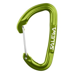 Salewa Carabiner HOT G3