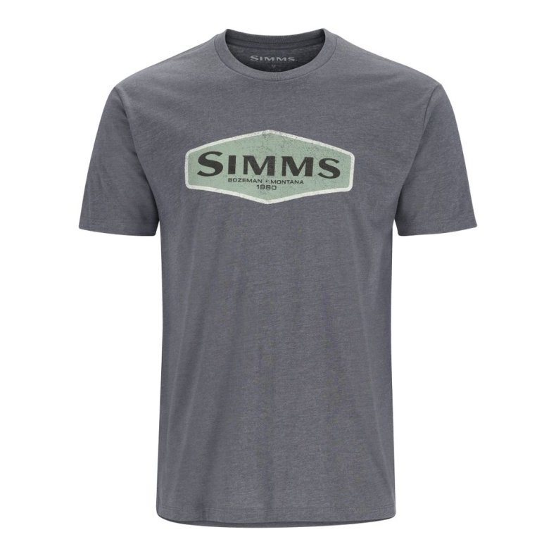 Simms Logo Frame Titanium  T-shirt