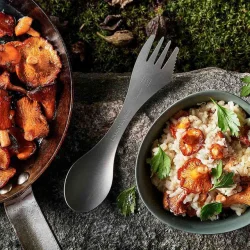 Swedish Spork Kit Titanium