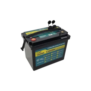 E&J LITHIUM 12V 100AH BT & HEAT